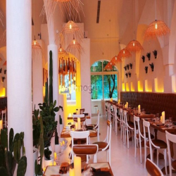 Sốc! Cho Thuê MT Ngang 10M Lý Tự Trọng, Quận 1, DTSD: 230m2