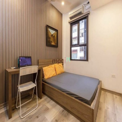 Ngõ ô tô - nội thất đẹp trung tâm Ba Đình 55m 5t giá 11,5tỷ.