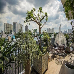 ?Penthouse Style: Minimalism colab Tropical, cao cấp, yên tĩnh?