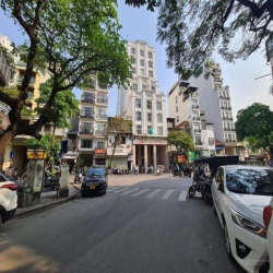 Bán nhà Phố Trần Nhật Duật, Ô tô, kinh doanh, 95m2, MT:6,1m, Giá:15tỷ