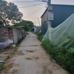 Đất rẻ làng nghề mây tre đan Xuân Lai, huyện  Gia Bình, Bắc Ninh