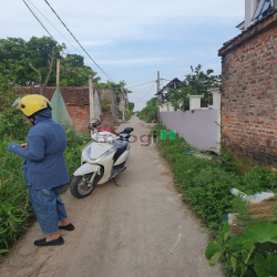 Đất rẻ làng nghề mây tre đan Xuân Lai, huyện  Gia Bình, Bắc Ninh