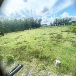 (Kèo tốc độ)Ngang 11.5*20m,,SUỐI CAO,PHƯỚC ĐÔNG!  giá 375triệu❗️ Mặt T