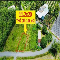 (Kèo tốc độ)Ngang 11.5*20m,,SUỐI CAO,PHƯỚC ĐÔNG!  giá 375triệu❗️ Mặt T