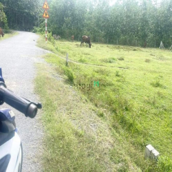 (Kèo tốc độ)Ngang 11.5*20m,,SUỐI CAO,PHƯỚC ĐÔNG!  giá 375triệu❗️ Mặt T