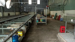 Cho Thuê Nhà Xưởng 260m Thạnh Lộc 19 Q12. Giá 16tr