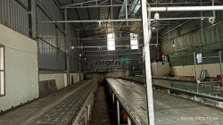 Cho Thuê Nhà Xưởng 260m Thạnh Lộc 19 Q12. Giá 16tr