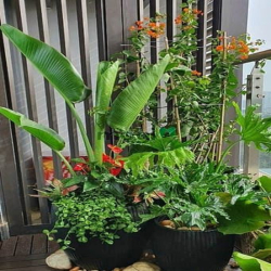 Nhà đẹp trung tâm, Nguyễn văn Đậu, Bình Thạnh, giá chỉ 5.99 tỷ, 44m² -