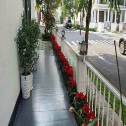 Cho thuê biệt thự Nam Thông , gần ngay trường quốc tế Canana, PMH.