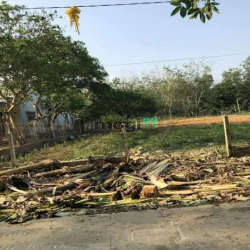 Nợ lô đề bán gấp Đất sau chợ Tân lập Tân Biên Tây Ninh Cách ql22b 300m