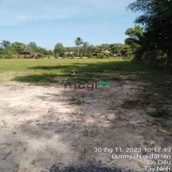 CÒN GÌ RẺ Bằng Đất TâN Phong Tân Biên Chỉ 256tr Bự chà BÁ