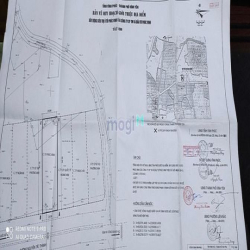 cần cho thuê lô đất siêu đẹp, trung tâm thành phố.