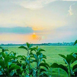 Bán nhà mặt tiền đẹp WIEW SÂN BAY 96 Nguyễn Văn Công P3 Gò Vấp