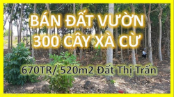 Bán Gấp 3 Lô Đất Thị Trấn Tặng Ngay 300 Cây Xà Cừ Lớn