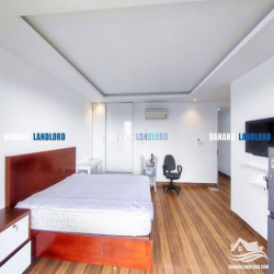 Căn hộ Penthouse 1PN khu Nam Việt Á - A402