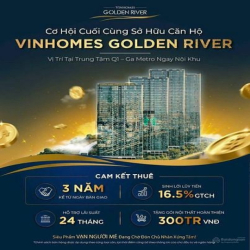 Căn hộ Vinhomes Golden River(Vinhomes Ba Son) - giá chủ đầu tư, ck 15%