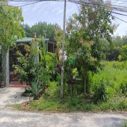 đất gap tân uyen245mn sổ rieng