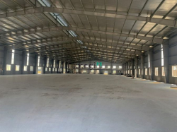 Nhà xưởng 2.800m2 cho thuê Ấp Bình Tiền 2, Đức Hòa Hạ, Long An