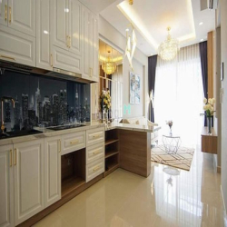 Chính chủ cần bán căn hộ Emerald Celadon City 71m2, 2PN, 2WC