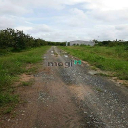 [Bể hụi bán] ĐẤT TRƯỜNG ĐÔNG Hoà Thành Tây Ninh giá chỉ 370 triệu shr