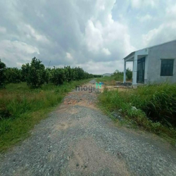 [Bể hụi bán] ĐẤT TRƯỜNG ĐÔNG Hoà Thành Tây Ninh giá chỉ 370 triệu shr