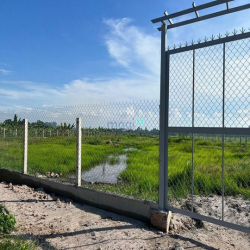 Đất bán 1000m2 giá 4,5tr/m2 có 200m2 thổ cư Xã Bình Lợi giá tốt đầu tư