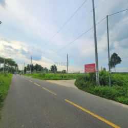 Đất bán 1000m2 giá 4,5tr/m2 có 200m2 thổ cư Xã Bình Lợi giá tốt đầu tư