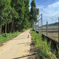 Đất bán 1000m2 giá 4,5tr/m2 có 200m2 thổ cư Xã Bình Lợi giá tốt đầu tư