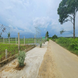 Đất bán 1000m2 giá 4,5tr/m2 có 200m2 thổ cư Xã Bình Lợi giá tốt đầu tư