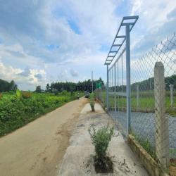 Đất bán 1000m2 giá 4,5tr/m2 có 200m2 thổ cư Xã Bình Lợi giá tốt đầu tư