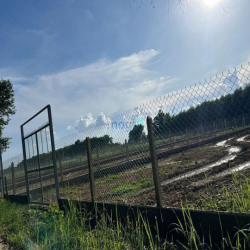 Đất bán 1000m2 giá 4,5tr/m2 có 200m2 thổ cư Xã Bình Lợi giá tốt đầu tư