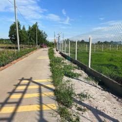 Đất bán 1000m2 giá 4,5tr/m2 có 200m2 thổ cư Xã Bình Lợi giá tốt đầu tư