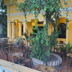 Bán nền lớn tặng quán cf mặt tiền Hoàng Văn Thụ, Cần Thơ - 396m2