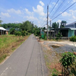 Siêu ưu đãi đất CẨM GIANG - GÒ DẦU chưa tới 300tr bao hời