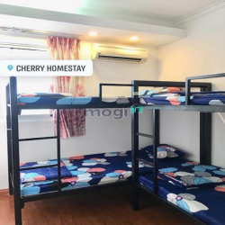 😍Tìm người ở ghép tại homestay Q1🤗