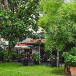 🏡 Cho thuê villa sân vườn 1000m2, ở, kinh doanh tổ hợp nhà hàng, cafe