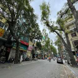Bán mảnh đất vàng mặt phố Trần Xuân Soạn, xây tòa nhà, 130m2, 81 tỷ