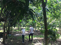 Chính chủ bán lô đất full hồng sẵn 500m thổ cư view hồ Trị An, SHR