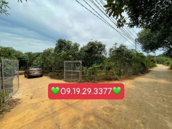 Chính chủ bán lô đất full hồng sẵn 500m thổ cư view hồ Trị An, SHR