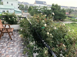 Chủ gửi em Nhi bán Biệt Thự KDC 10 mẫu, DT 165m2 sổ hồng sang tên ngay