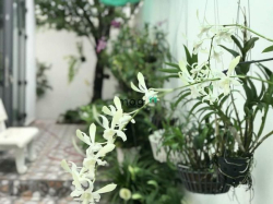 Chủ gửi em Nhi bán Biệt Thự KDC 10 mẫu, DT 165m2 sổ hồng sang tên ngay