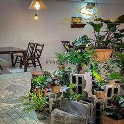 Cho thuê quán cafe Ngang 9m hiện trạng đường Phan Trung vị Trí đẹp.