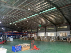 Cho thuê nhà xưởng đẹp 2000m2 trong KCN Tân Bình, đường CN11, Tân Phú.