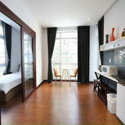 Căn hộ 1PN - Cửa sổ Lớn ngay Mạc Đỉnh Chi gần Nhà thờ Đức Bà