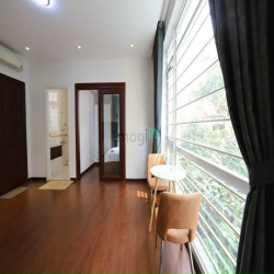 Căn hộ 1PN - Cửa sổ Lớn ngay Mạc Đỉnh Chi gần Nhà thờ Đức Bà
