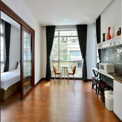 Căn hộ 1PN - Cửa sổ Lớn ngay Mạc Đỉnh Chi gần Nhà thờ Đức Bà