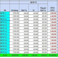 Bán Nhà Nơ Trang Long Bình Thạnh,Lợi Nhuận 100tr/1 tháng, 75m2(4.7x17)