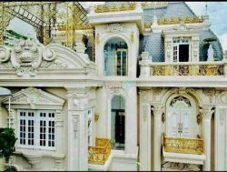 Chỉ 320 Tỷ -312M2 -Ngang khủng 9m- Nở Hậu -HXH - Nguyễn Đình Chiểu Q.1