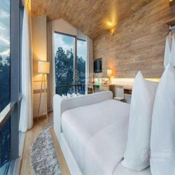 Bán KS mặt tiền Calmette, Q1, DT 7,5m x 20m hầm 7 lầu, HĐT 329tr