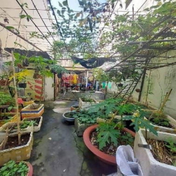 Bán nhà mặt tiền Tân Kỳ Tân Quý, quận Tân Phú. Sát Lê Trọng Tấn